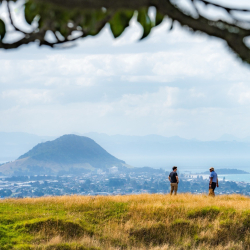 Tauranga Regional Place Brand Project